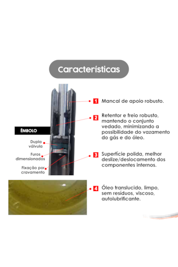 Amortecedor Mola a Gas Uso Geral Medida 430 X 210 mm 100 Kg