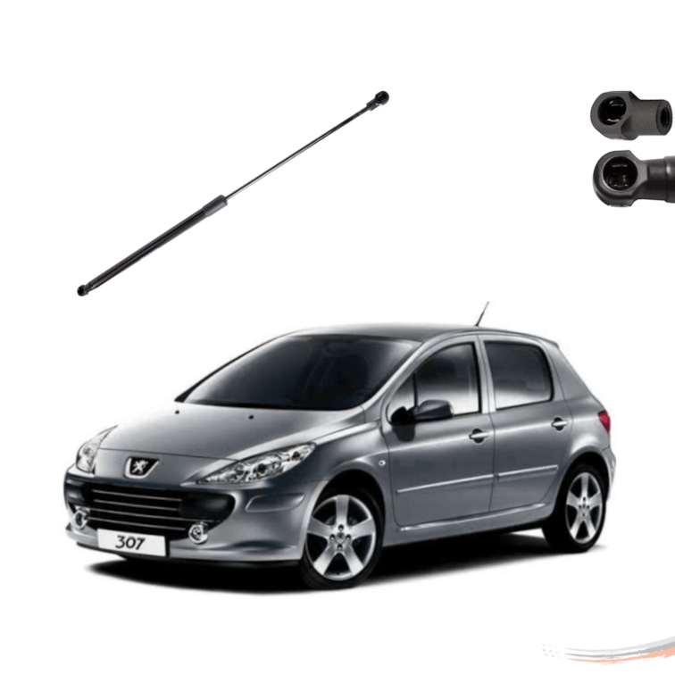 Amortecedor Tampa Porta-Malas Peugeot 307 02 A 12 Todos