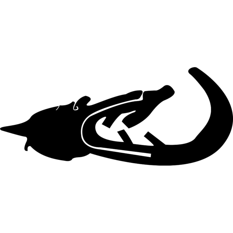 Produto imagem - 15dd56a3-4bca-4ad7-ba8a-a890d61e0233