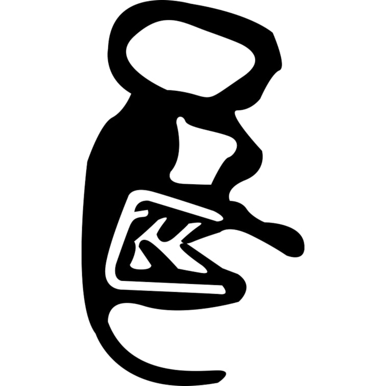 Produto imagem - 46352d42-fba5-456a-bdde-ddb30802da83