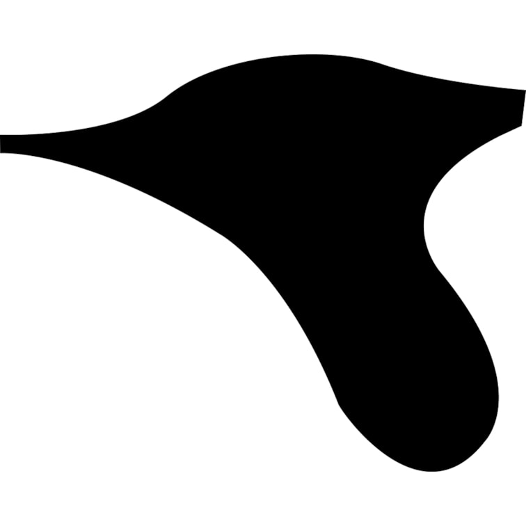 Borrachas Da Porta Bandeirante Após 86