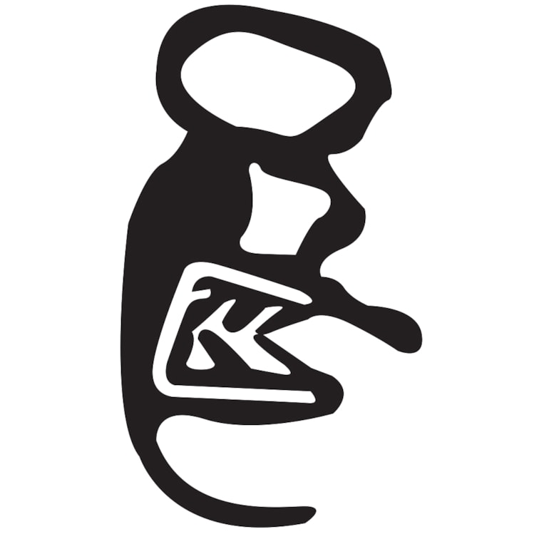 Produto imagem - bbdbea69-6482-4fbe-ab55-d4a78ff09a60