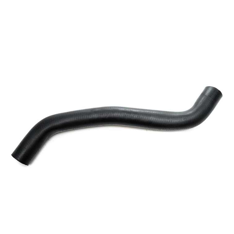 Mangueira Superior do Radiador Renault Clio 00 Até 08