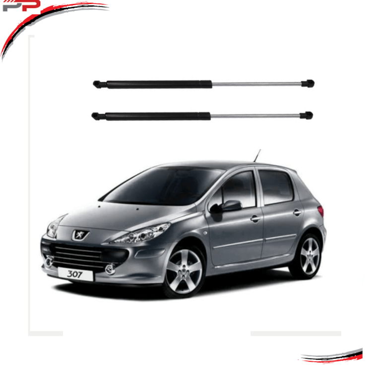Par Amortecedores Tampa Porta-Malas Peugeot 307 02 A 12